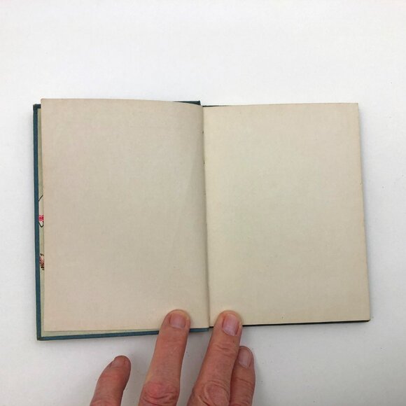 Peter Rabbit And The Little Boy Wee Books Linda Stevens Almond Illustrated 1935 - Picture 6 of 10